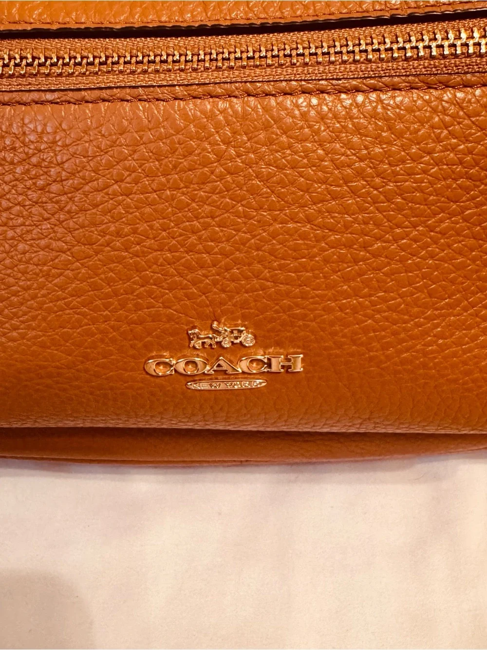Coach Charlie medium size pebble leather backpack.